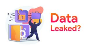 check if your data has been leaked online