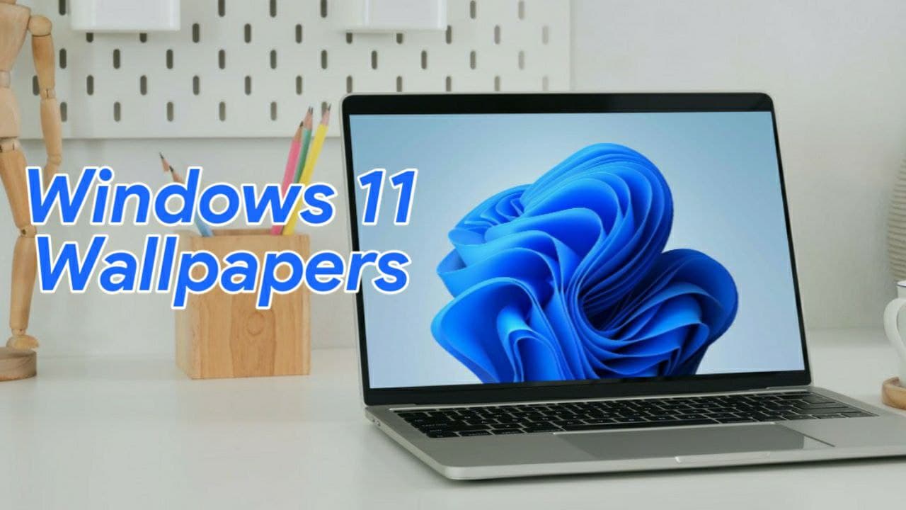 Download windows 11 wallpapers for desktop pc